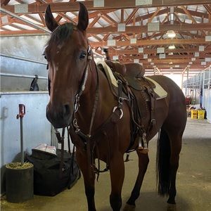 Meet your Posher, Ava